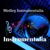 About Midley Instrumentalia Song