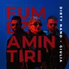 About Fumez amintiri Song