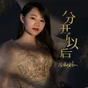 分开了以后 DJ Version