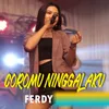 About Coromu Ninggal Aku Song