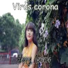 About Virus Corona Song