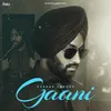 About Gaani Song