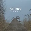 About Sorry Song