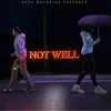 About Not Well Song