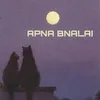 About Apna Bna Lai Song