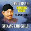 About Nginang Karo Ngilo Song