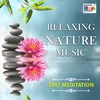 Relaxing Nature Music