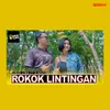 About Rokok Lintingan Song