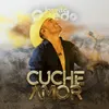 About Cuche Amor Song