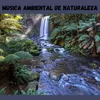 Ambiental