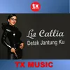 About Detak Jantung Ku Song