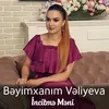 About İncitmə Məni Song