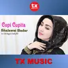 About Shalawat Badar Song