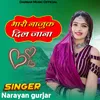 About Maro Najuk Dil Jana Song