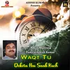 About Waqt Tu Deketa Hai Saab Kuch Song