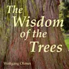 About The Wisdom of the Trees Song