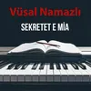 About Sekretet e mia Song