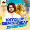 About Toty Dil Dy Krenda Waday Song