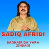 About Baghair da Yara Zindagi Song