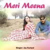 About Meri Meena Song