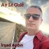 About Ay Lê Gule Song