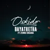 About Bayathetha Song