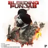 About Bleeding Punjab Song