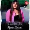 About Aycan Aycan Song