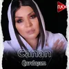 About Qardaşım Song
