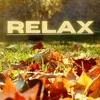 About RELAX Song