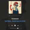 About Телефон Song