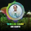 About Dimiliki Kamu Song