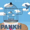 About Pankh Song