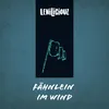 About Fähnlein im Wind Song