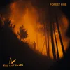 About Forest Fire Song