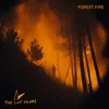 Forest Fire