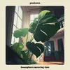 About houseplants watering time Song