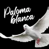 PALOMA BLANCA-XW-