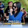 About Coromu Ninggal Aku Song