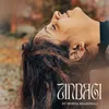 About Zindagi Song