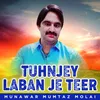 Tuhnjey Laban Je Teer