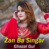 About Zan Ba Singar Song