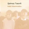 About Şahnaz Təsnifi Song