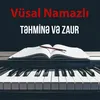 About Təhminə və Zaur Song