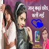 About Janu Kaha Chhod Chali Gayi Song