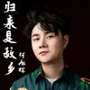 About 归来是故乡 Song