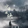 About 少年成侠 Song
