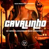 About Cavalinho Song