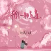 About 摘一颗星星 Song