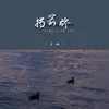 About 挡箭牌 Song